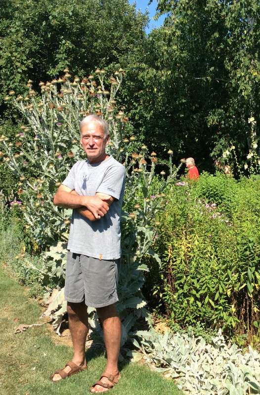 Nolan in fromt of thistles orig