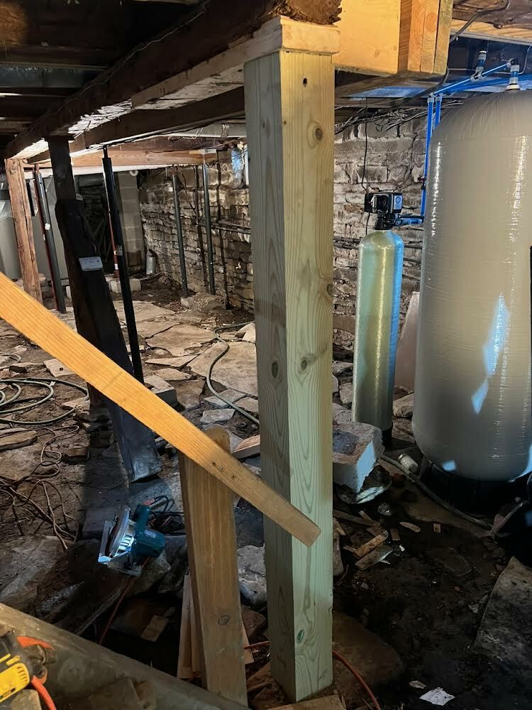 The cellar: Reinforcements