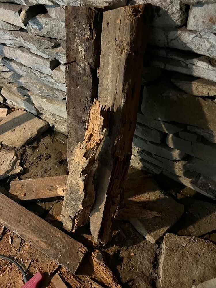 The cellar: Removing dry rot