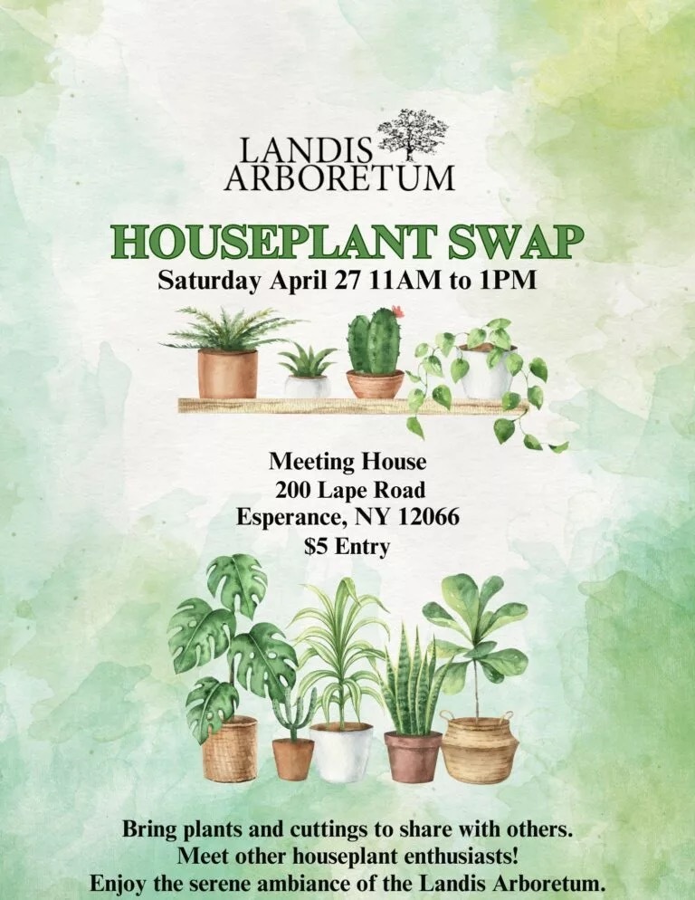 2024 Houseplant swap