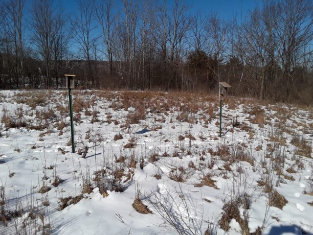 Nest boxes after stabilization