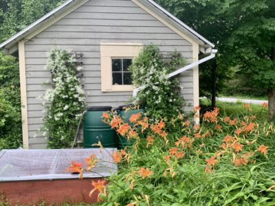 Rain barrel