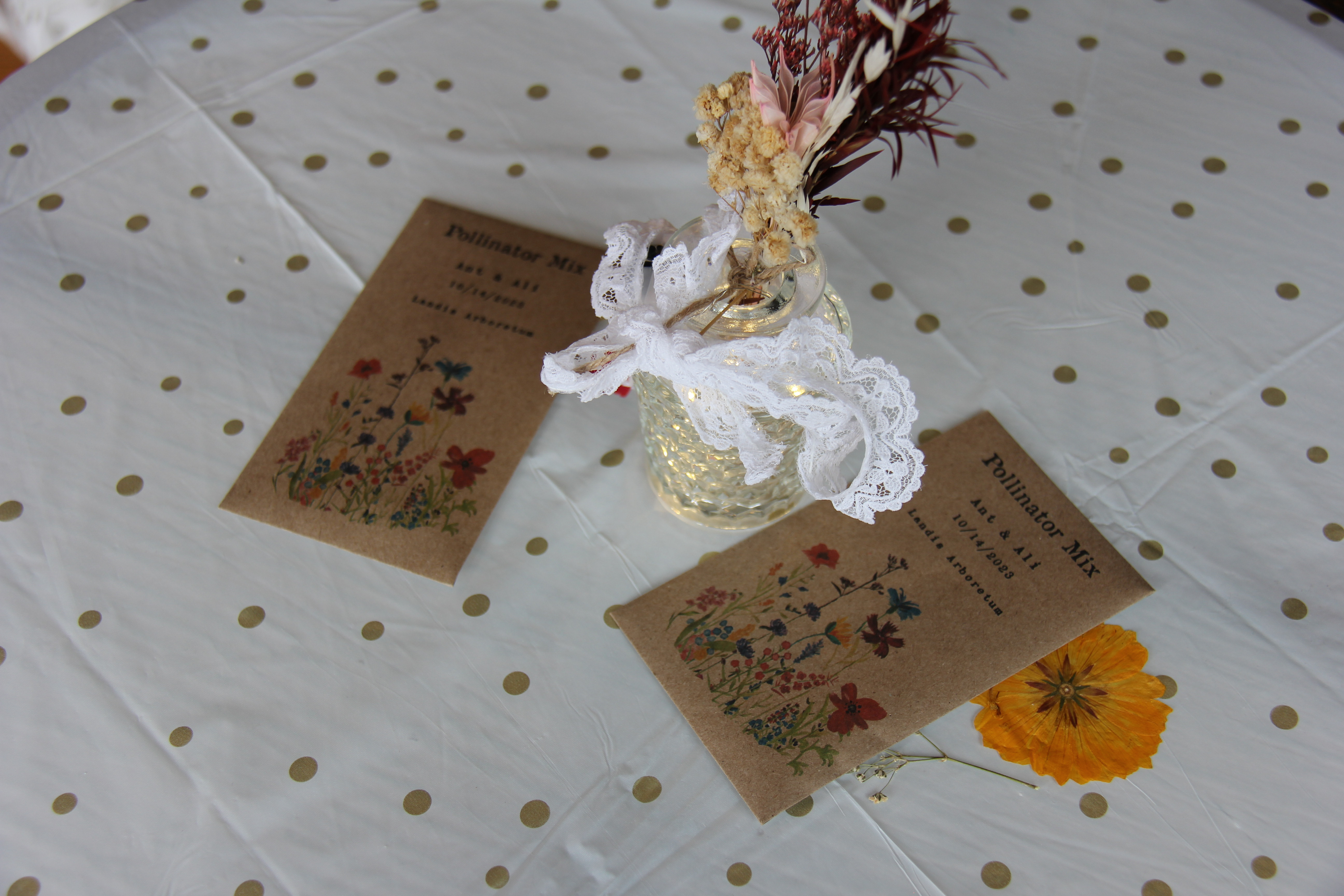 Bogdanov wedding 3