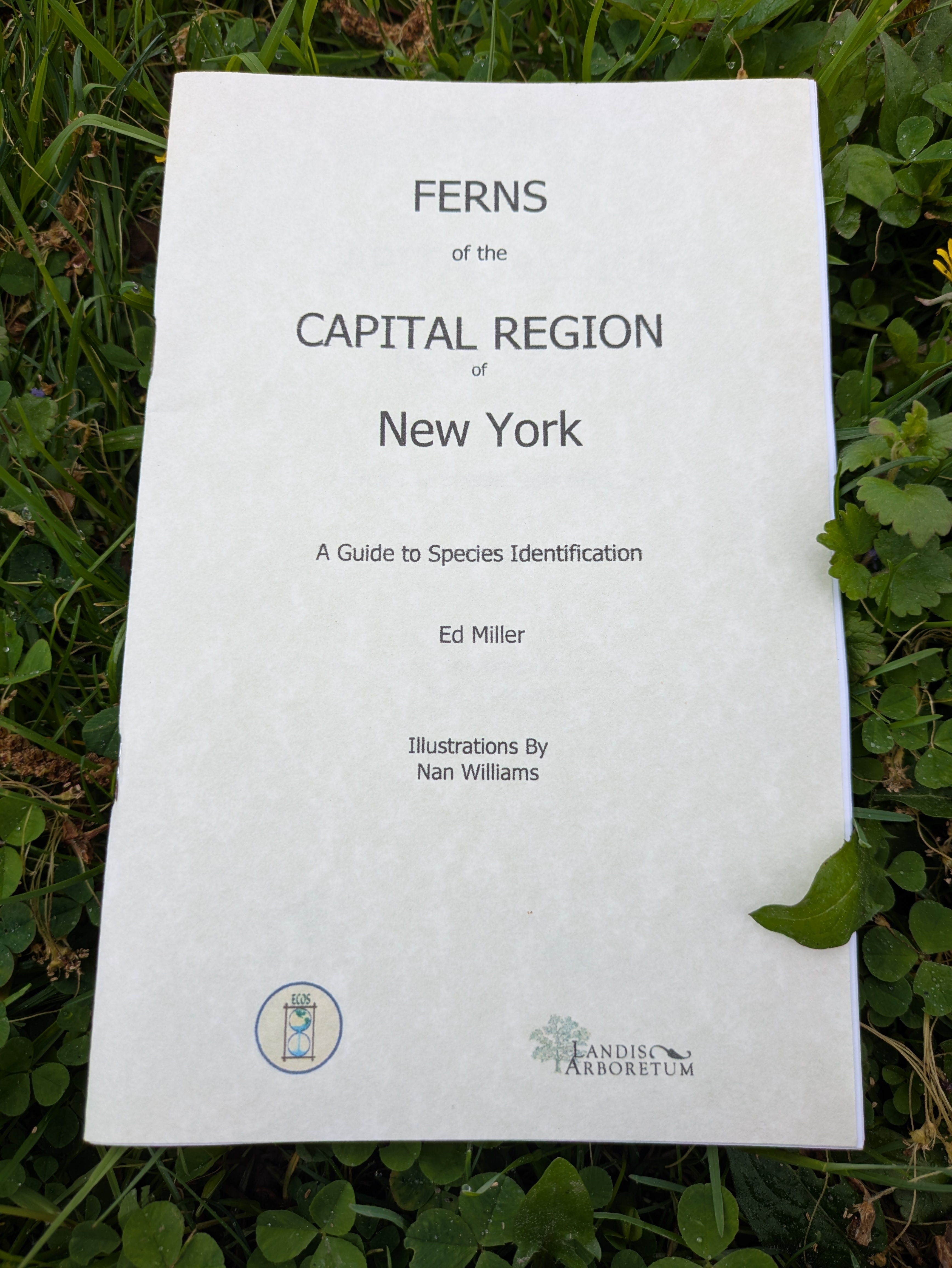 Fern booklet