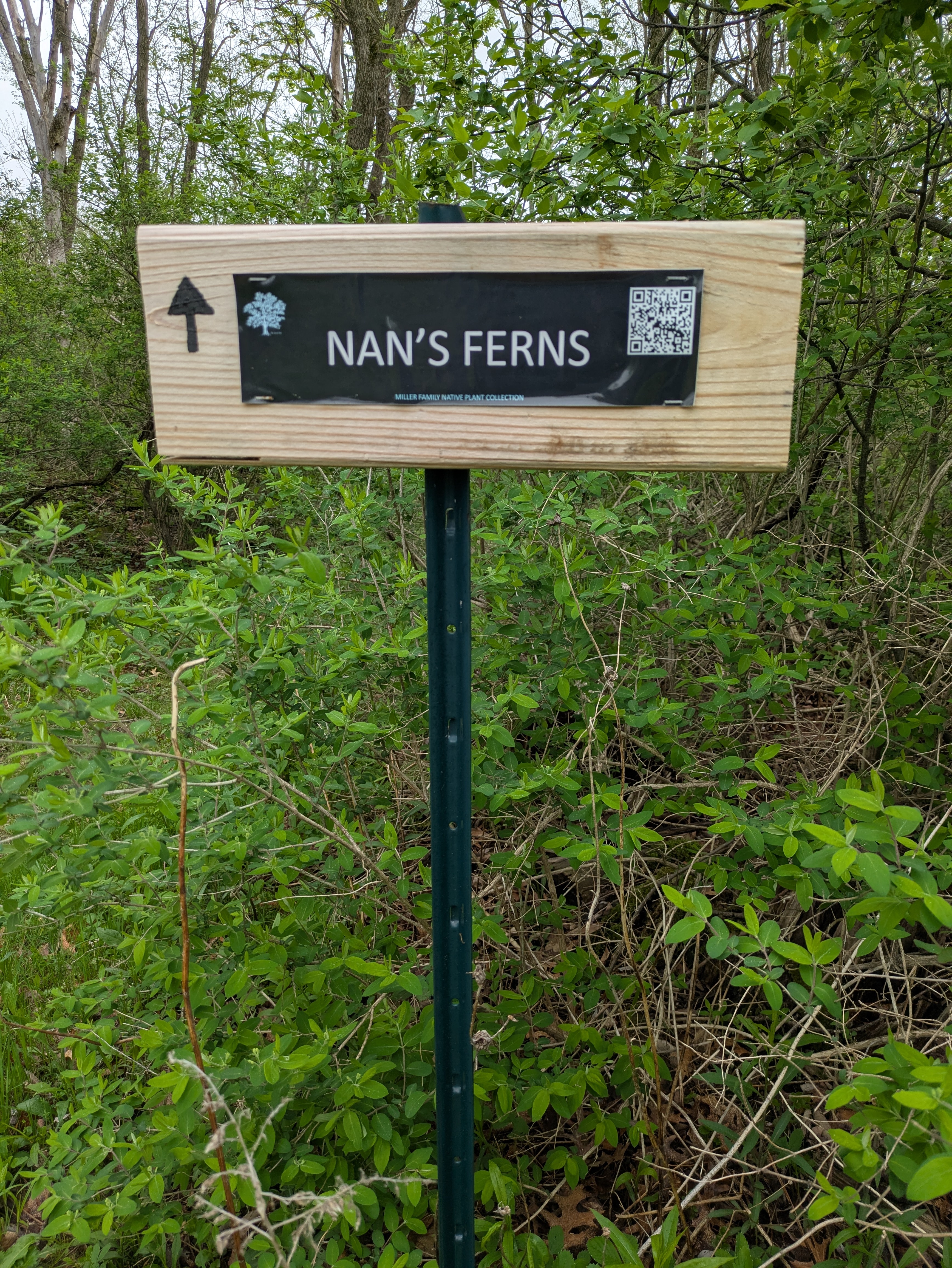 Fern Glen sign