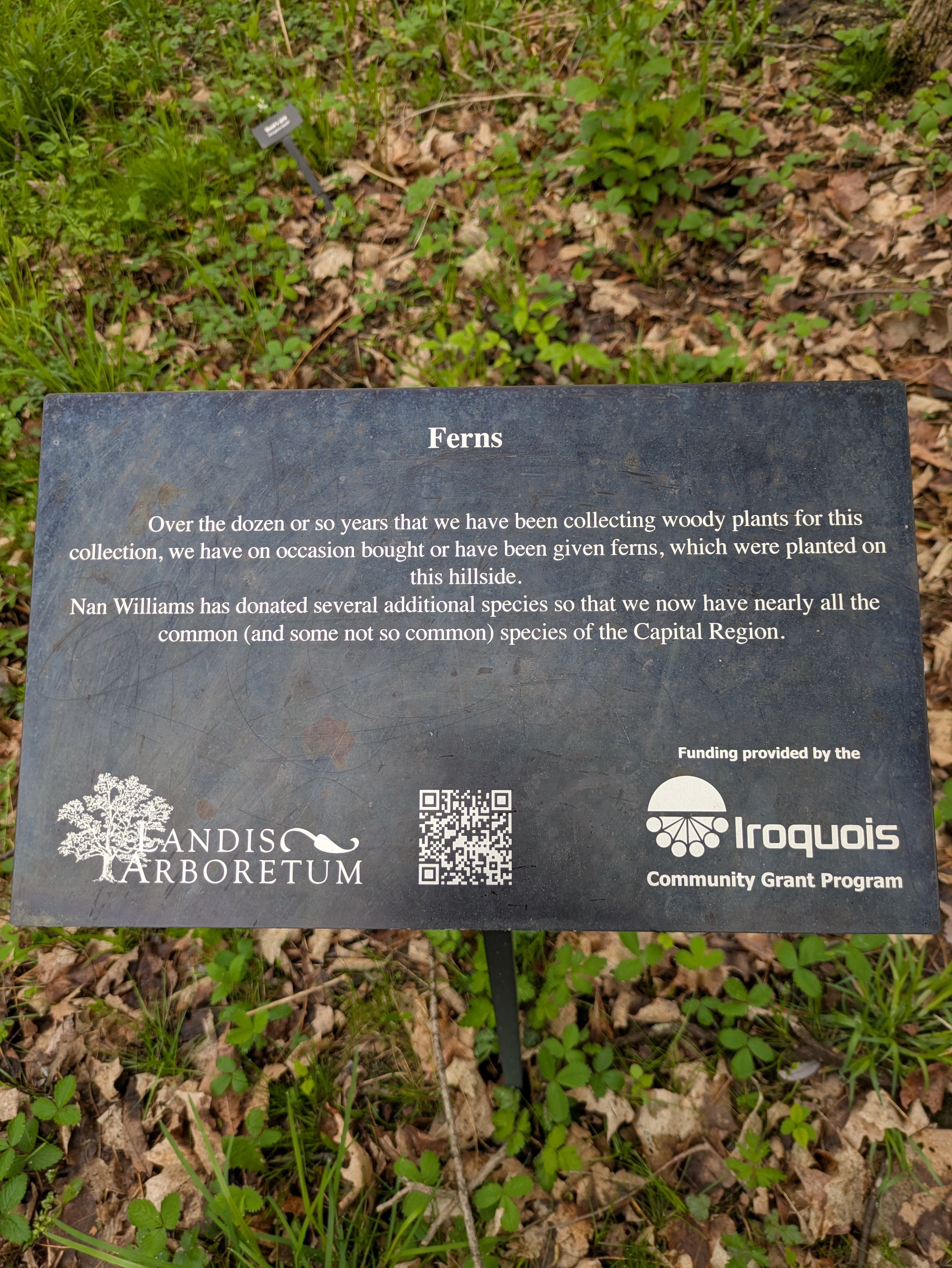 Formal fern glen sign