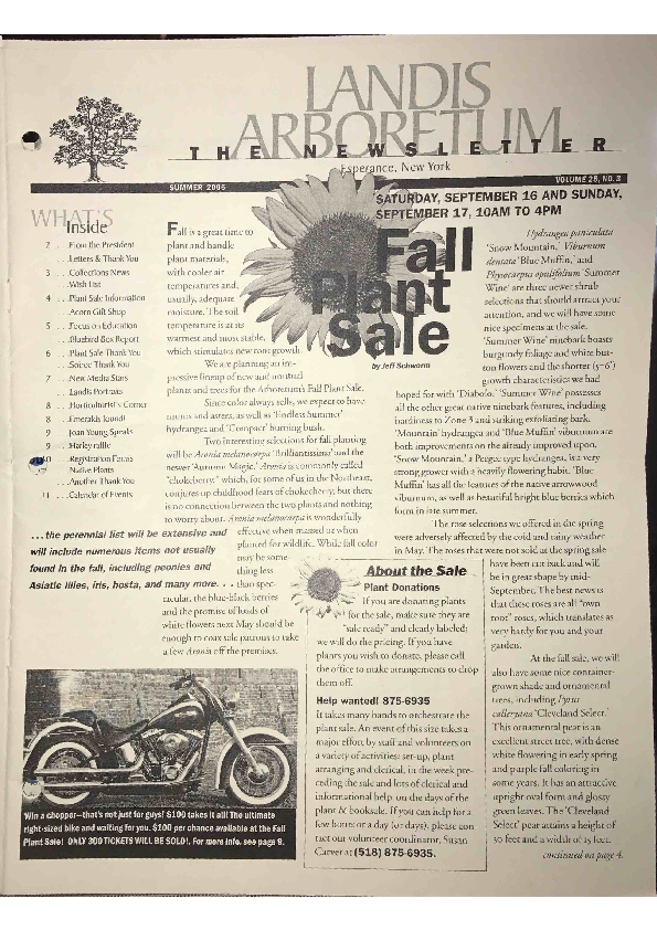 generic PDF download link