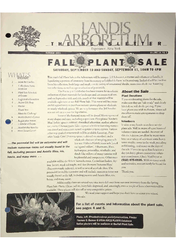generic PDF download link